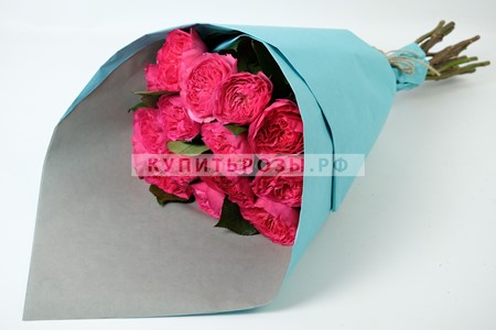 Пионовидные розы Баронесса купить в Москве недорого